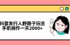 抖音发行人野路子玩法，手机操作一天2000+