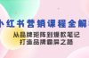小红书营销课程全解析，从品牌矩阵到爆款笔记，打造品牌霸屏之路