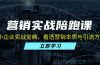 营销实战陪跑课：中小企业实战宝典，看透营销本质与引流方法论