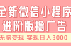 全新微信小程序进阶版撸广告 无脑变现睡后也有收入 日入3000＋