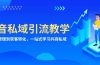 抖音私域引流教学：从项目原理到获客转化，一站式学习抖商 私域
