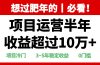 年前过肥年的必看的超冷门项目，半年收益超过10万+，