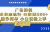 广告挂机，知识分享，全自动500+项目