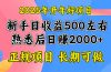 2025开年好项目，单号日收益2000左右