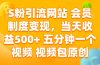 S粉引流网站 会员制度变现，当天收益500+ 五分钟一个视频 视频包原创