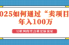 2025年如何通过“卖项目”实现100万收益：最具潜力的盈利模式解析