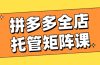 拼多多全店托管矩阵课，盈利动销玩法，高效计划设置，提升店铺效益