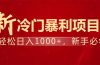 项目名称：每天一小时，轻松到手1000，冷门赚钱项目！