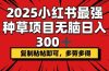 2025小红书最强种草项目，无脑日入300+，复制粘帖即可，多劳多得