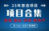 2025 实操项目合集 挂机类型 直播类型 轻资产创业类型 课程分享各项目…