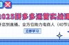 2025拼多多运营实战课，从开店到直播，全方位助力电商人（40节课）
