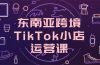 东南亚跨境TikTok小店运营课，掌握店铺设置与流量转化核心技巧