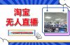 淘宝无人直播带货，单品打爆+搜索流打法，24小时必出单