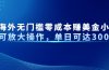 最新海外无门槛零成本赚美金小众项目可放大操作，单日可达300+