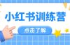 小红书训练营，助小白入门，掌握技巧变达人，课程实操又全面（12节课）