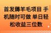 薅羊毛项目 手机随时可做 单日轻松收益三位数