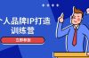 个人品牌IP打造训练营，打造人设吸粉话术，日增精准粉，玩转社群变现技巧