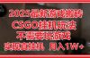 2025最新游戏搬砖，CSGO挂机，不需要玩游戏，实现真挂机，月入1W+
