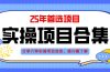 2025年实操六大项目实操演练，挂机类型，AI直播类型，轻资产创业类型，…