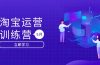 淘宝运营训练营-更新5月：直通车/引力魔方/万相台 搜索推荐双流量引擎驱动