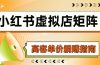 小红书虚拟店矩阵,AI铺货/笔记狂怼/选品搬运/自动发货,高客单价躺赚指南