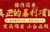 真正的暴利项目，操作简单，每天收益1200＋，自己做老板