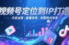 视频号定位到IP打造：账号搭建-内容运营-直播变现，完整知识体系