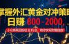 掌握外汇黄金对冲策略，日赚 800 – 2000，小众高回报创业机会，助你实…