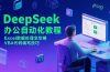 DeepSeek办公自动化教程，Excel数据处理全攻略，VBA代码编写技巧