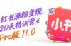 小红书涨粉变现120天特训营Pro版11.0：从0到1掌握平台运营,内容制作和变现