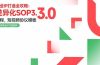 商业IP打造全攻略：差异化SOP3.0流程，短视频协议模板，婚恋项目实战案例