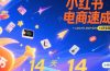 小红书虚拟电商速成课：个人定位分析，原创产品开发，14天变现路径规划