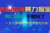 信息查询暴力掘金，一天三条视频 轻松变现四位数，风口项目干就完了