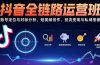 抖音全链路运营班：账号定位与对标分析，短视频创作，投流变现与私域搭建