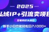 2025网创尽头项目，私域IP+引流，新手小白也能在家日入1000+