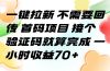 一键拉新 不需要回传 首码项目 接个验证码就算完成 一小时收益70+