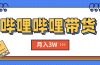 B站哔哩哔哩带货秘籍，新风口，抢占红利，单月轻松破万【附SOP手册】