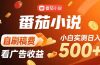 稳定3年官方番茄小说自刷稿费小白单日500+