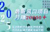 2025广告赛道新风口-月赚2W＋玩法简单，时间自由