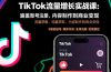 TikTok流量增长实战课：涵盖账号注册、流量获取、内容制作到商业变现