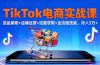 TikTok电商实战课10月,选品策略+店铺运营+流量获取+全流程技能,月入5万+