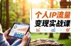 个人IP流量变现实战课，涵盖多平台引流、打造个人IP并实现稳定流量变现