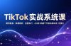TikTok实战系统课，案例复盘、数据解析、运营执行，从0到1构建千万级电商体系（更新）