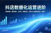 抖店数据化运营进阶，蓝海挖掘、爆款策略、AI协同，数据驱动，实现ROI与规模双增长（更新）