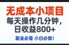 无成本小项目,每天操作几分钟,日收益800+ 副业必看 小白必做！