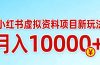 小红书虚拟资料项目最新玩法，月入10000＋