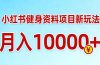 小红书健身资料项目最新玩法，月入10000＋，收益潜力可以无限放大