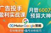 广告投手盈利实战课：月管600万预算大神，带你告别瞎烧钱，Meta+Google策略+盈亏分析