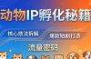 动物IP孵化全套秘籍,三大核心技法拆解,打造爆款萌宠短剧,轻松拿捏赛道流量密码