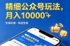 精细公众号玩法，月入10000+，实操指南，快速变现